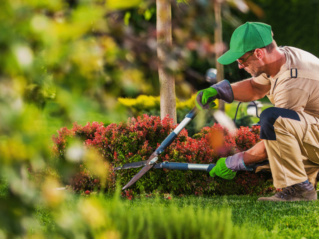 A Naccarato Landscaping Gulf Coast gardener keeps the garden neat and healthy, showing expert care in a coastal landscape.