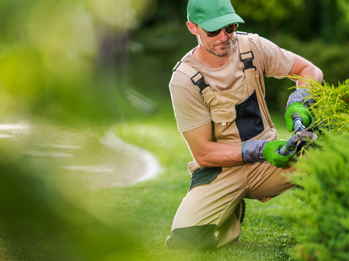 Someone from Naccarato Landscaping Gulf Coast carefully shapes a garden hedge, showing expert lawn care in a nice yard.