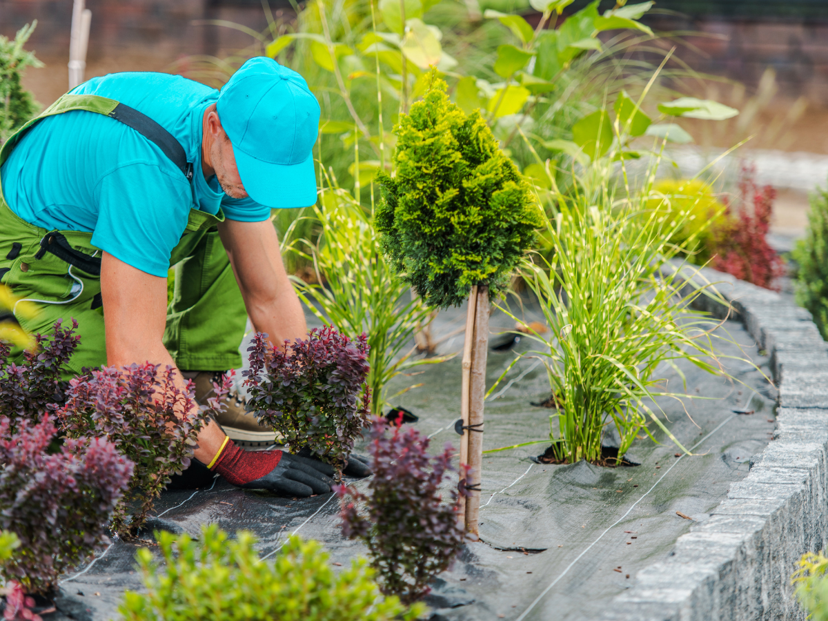 Naccarato Landscaping Gulf Coast shows expert planting and care, creating a welcoming garden space for families to enjoy.