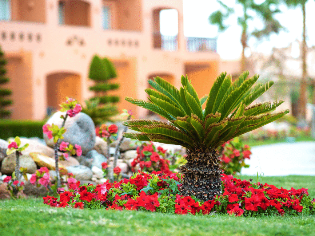 Naccarato Landscaping Gulf Coast shows tidy garden design with bright flowers, neat rocks, and healthy plants in a sunny yard.